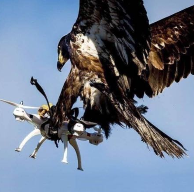 DRONE / ROBOTIC TRAINING FOR TASS